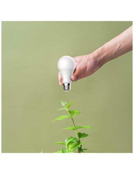 Bombilla wifi Prixton N10880AP1