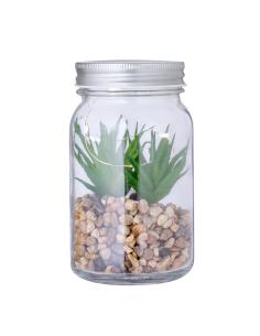 Planta Decorativa N80602