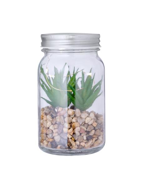 Planta Decorativa N80602