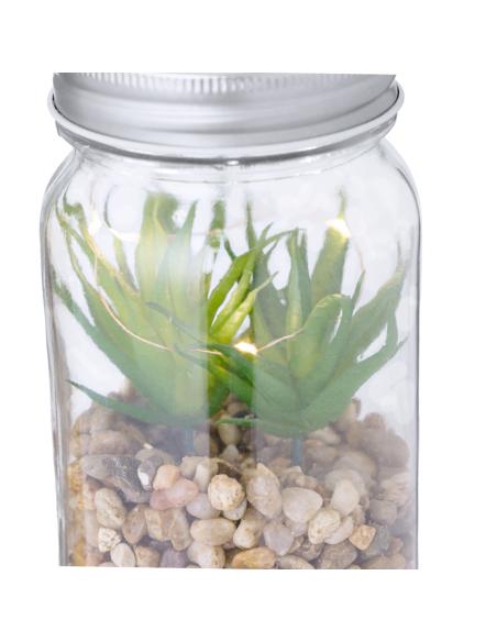 Planta Decorativa N80602