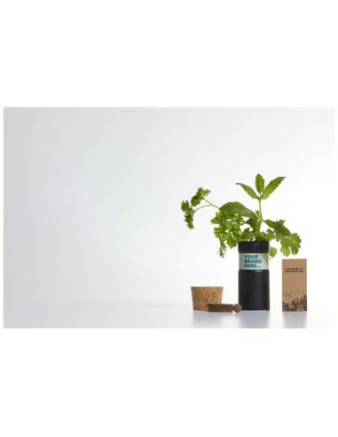 Mezcla de hierbas para jardín de sobremesa N09100YP1