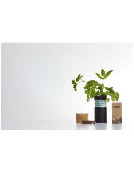 Mezcla de hierbas para jardín de sobremesa N09100YP1