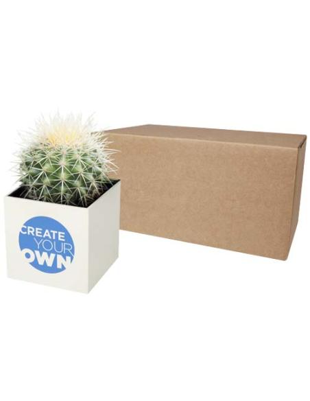 Maceta de aluminio con planta, cactus, N10300YP1