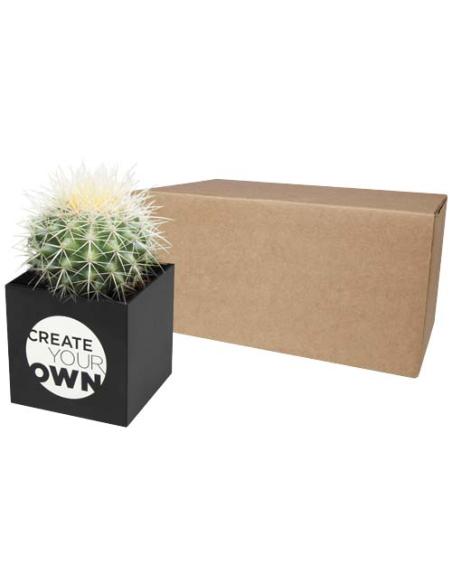 Maceta de aluminio con planta, cactus, N09300YP1