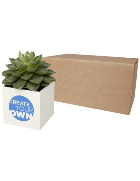 Maceta de aluminio con planta, suculenta, N10600YP1