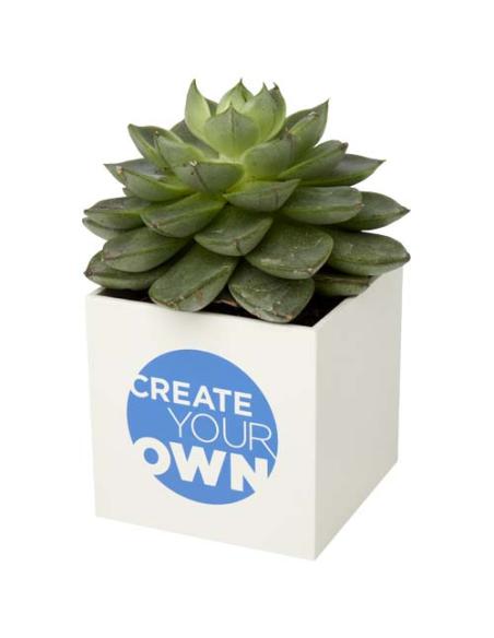 Maceta de aluminio con planta, suculenta, N10600YP1