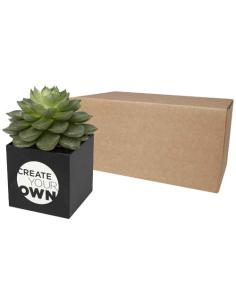 Maceta de aluminio con planta, suculenta, N10600YP1