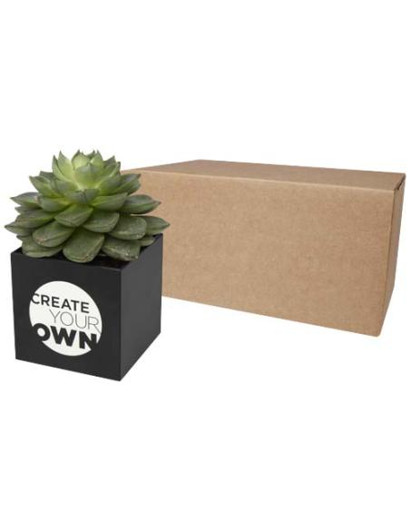 Maceta de aluminio con planta, suculenta, N09600YP1