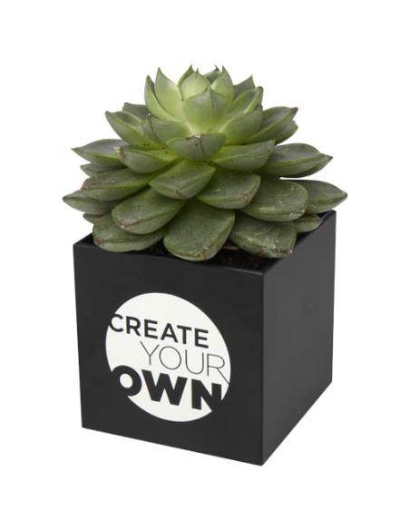 Maceta de aluminio con planta, suculenta, N09600YP1