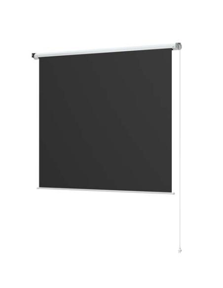 Pantalla de proyección de 100" N10305AP1