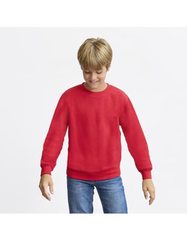 Sudadera Niño N25912