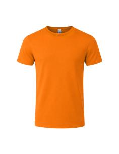 Camiseta Niño Color N02022