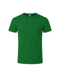 Camiseta Niño Color N02022