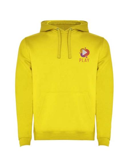 Sudadera con capucha para hombre N1B17601R