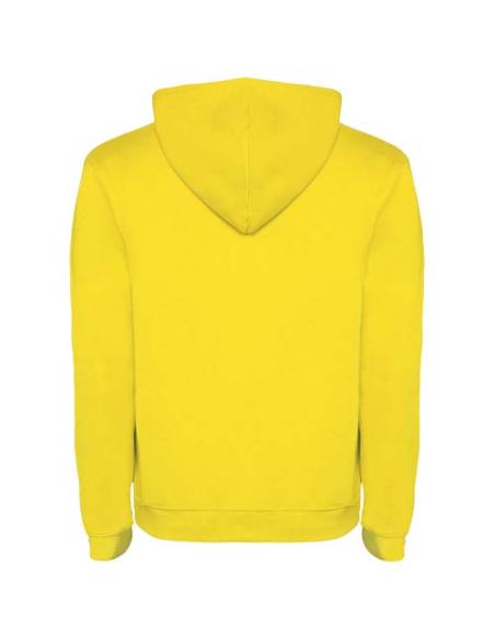 Sudadera con capucha para hombre N1B17601R
