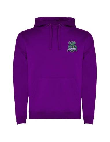 Sudadera con capucha para hombre N0H47601R