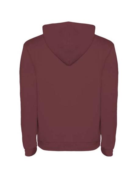 Sudadera con capucha para hombre N0U87601R