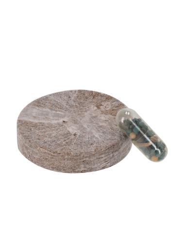 Pack Plantable N8672