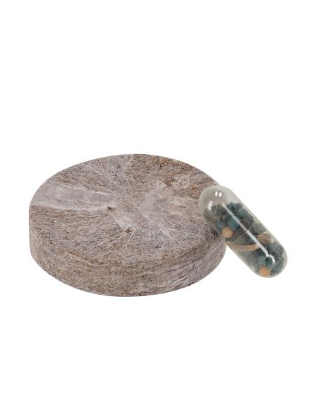 Pack Plantable N8672