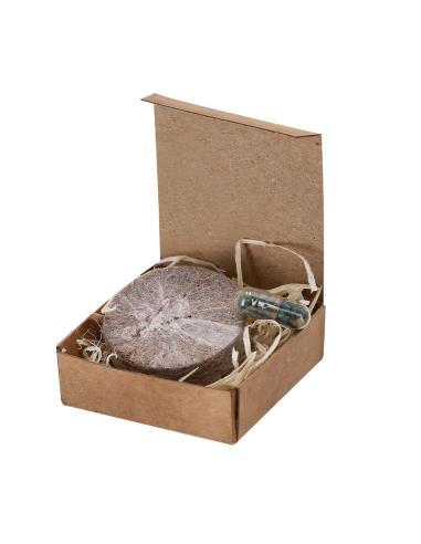 Pack Plantable N8672