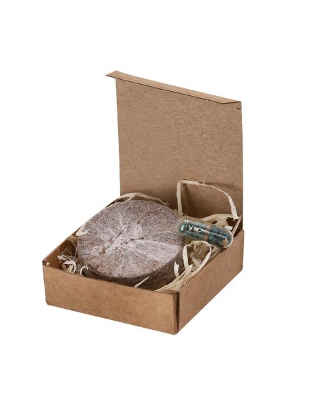 Pack Plantable N8672