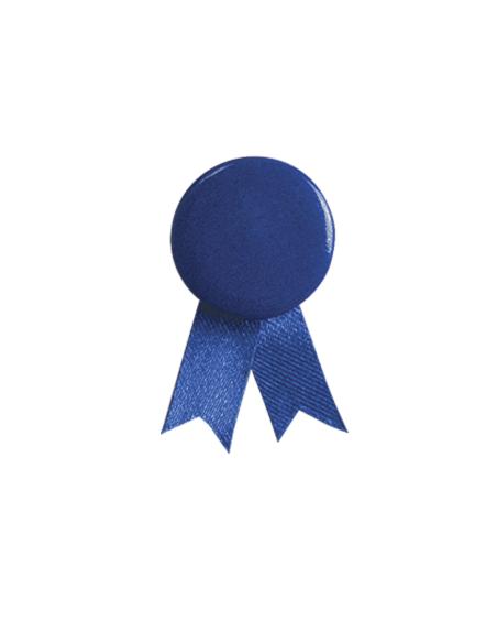 Pin Lazo N0479