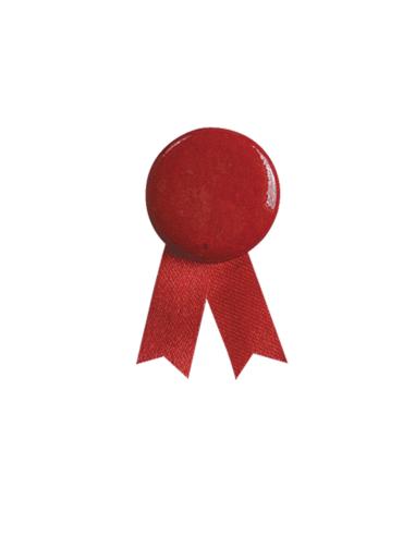 Pin Lazo N0479