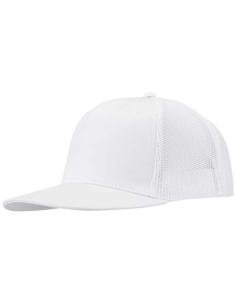 Gorra de 260 g/m2 con 6 paneles N01027593
