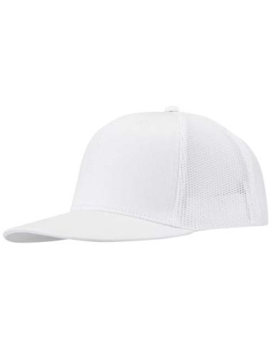 Gorra de 260 g/m2 con 6 paneles N01027593
