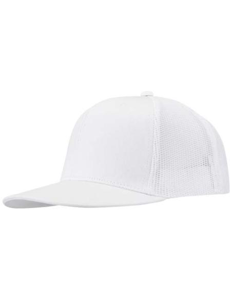 Gorra de 260 g/m2 con 6 paneles N01027593