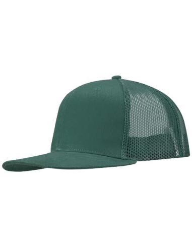 Gorra de 260 g/m2 con 6 paneles N01627593