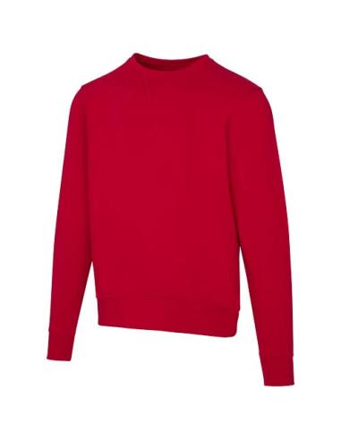 Sudadera unisex de cuello redondo de 300 g/m² Arora N25201283