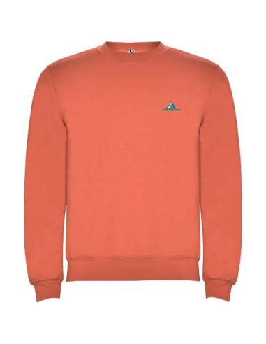 Sudadera de cuello redondo infantil de 280 g/m² Clasica NCJ20701K