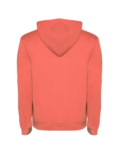 Sudadera con capucha para hombre de 280 g/m² Urban N1J27601R
