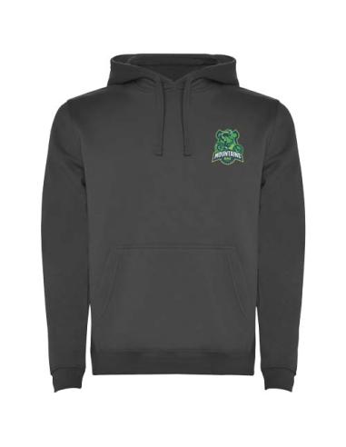 Sudadera con capucha para hombre de 280 g/m² Urban N0M27601R