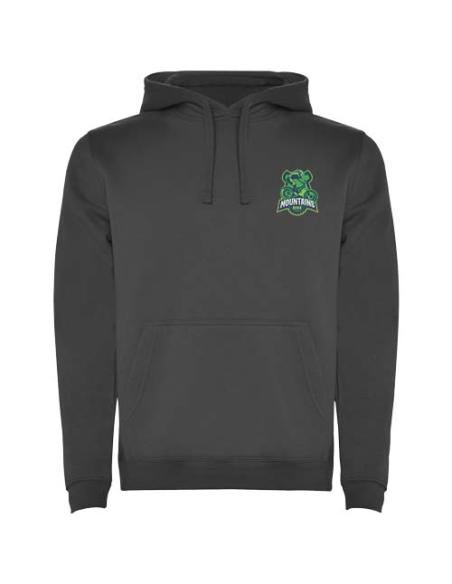 Sudadera con capucha para hombre de 280 g/m² Urban N0M27601R