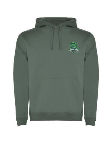 Sudadera con capucha para hombre de 280 g/m² Urban N17D7601R