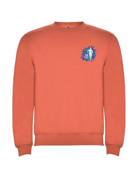 Sudadera de cuello redondo unisex de 280 g/m² Clasica N0J20701R