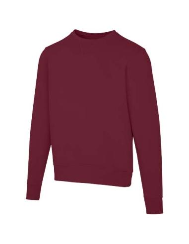 Sudadera unisex de cuello redondo de 300 g/m² Arora N02201283
