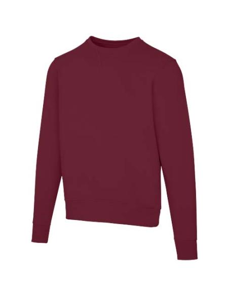 Sudadera unisex de cuello redondo de 300 g/m² Arora N02201283