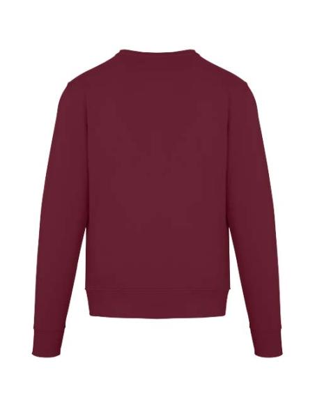 Sudadera unisex de cuello redondo de 300 g/m² Arora N02201283