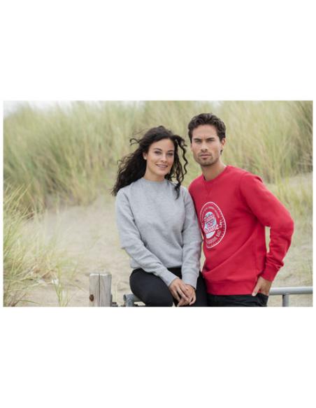 Sudadera unisex de cuello redondo de 300 g/m² Arora N04401283