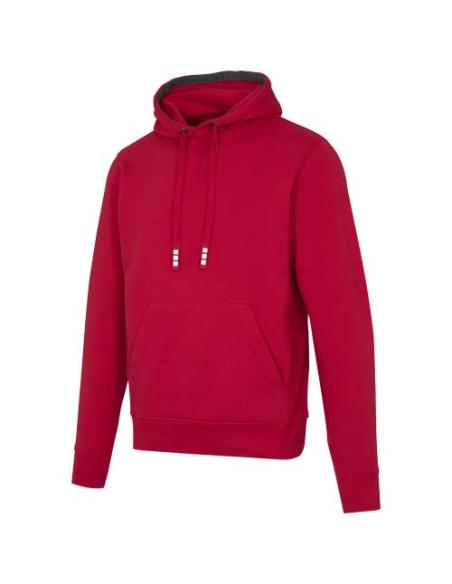 Sudadera con capucha unisex de 300 g/m² Arora N11253283