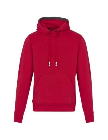 Sudadera con capucha unisex de 300 g/m² Arora N11253283