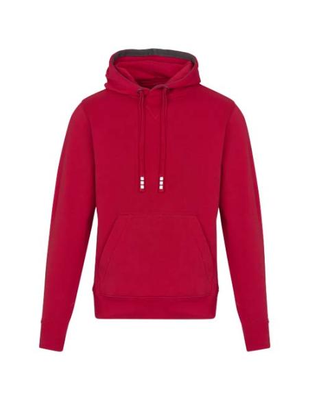 Sudadera con capucha unisex de 300 g/m² Arora N11253283