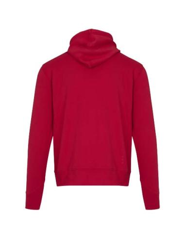 Sudadera con capucha unisex de 300 g/m² Arora N11253283