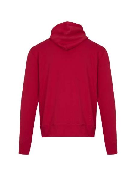 Sudadera con capucha unisex de 300 g/m² Arora N11253283