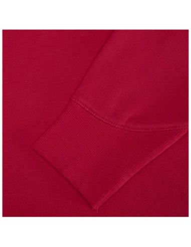 Sudadera con capucha unisex de 300 g/m² Arora N11253283