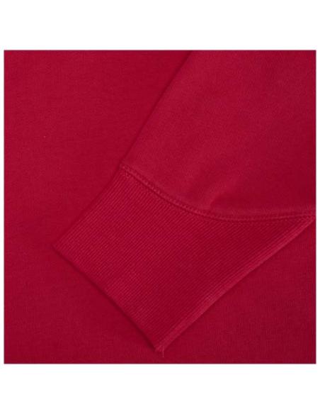 Sudadera con capucha unisex de 300 g/m² Arora N11253283