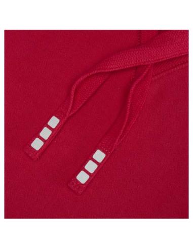 Sudadera con capucha unisex de 300 g/m² Arora N11253283